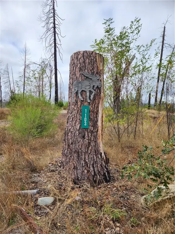 1103 Bald Rock, Berry Creek, CA 95916