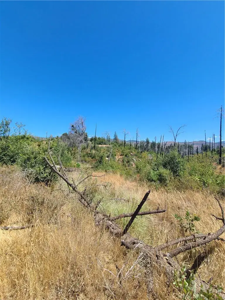 0 Hog Ranch Road, Concow, CA 95965 - Image #2