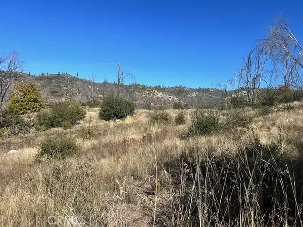 0 Craig Access, Feather Falls, CA 95940