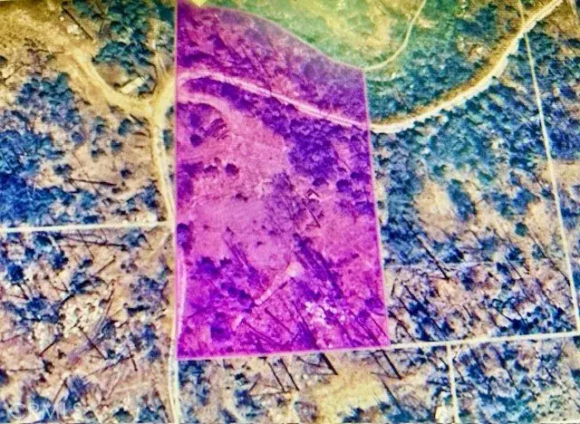 0 Craig Access, Feather Falls, CA 95940 - Image #3