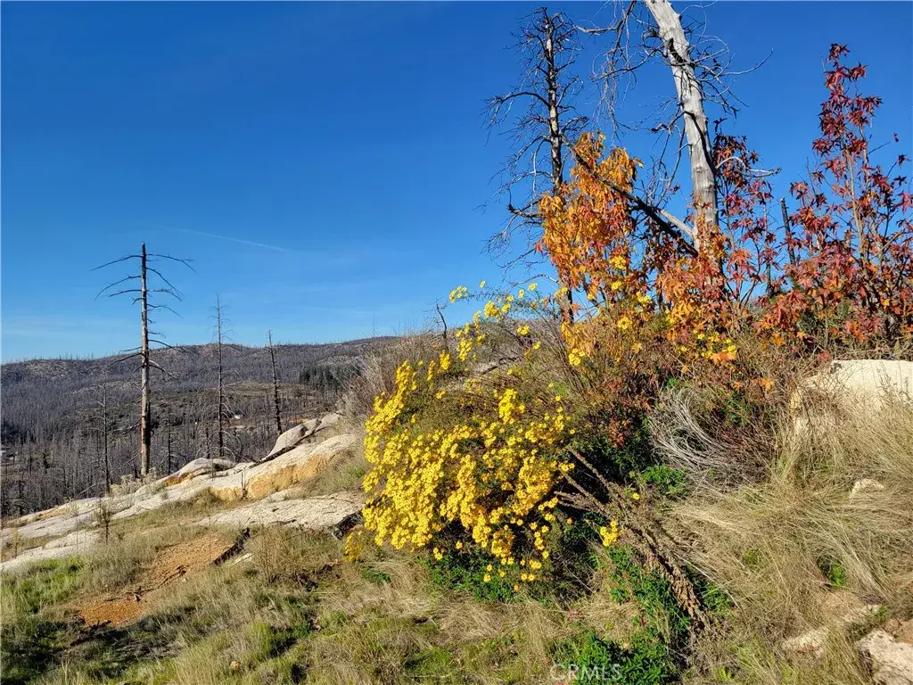 161 Shadow Creek, Berry Creek, CA 95916 - #1