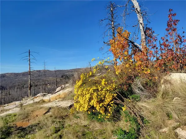 161 Shadow Creek, Berry Creek, CA 95916