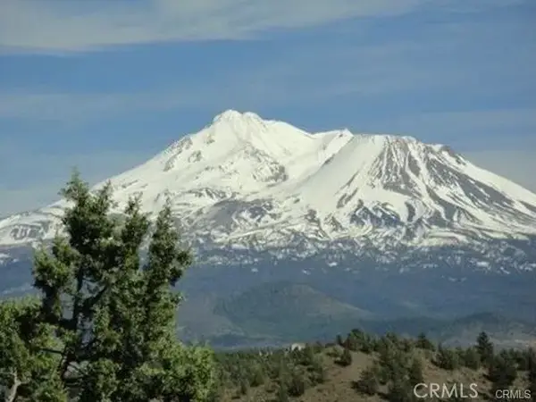 5115 Palomino Rd, Weed, CA 96094