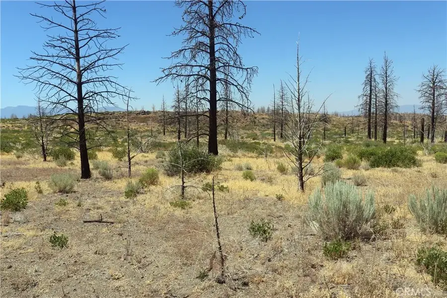 0 Juniper Valley, Weed, CA 96094 - Image #2