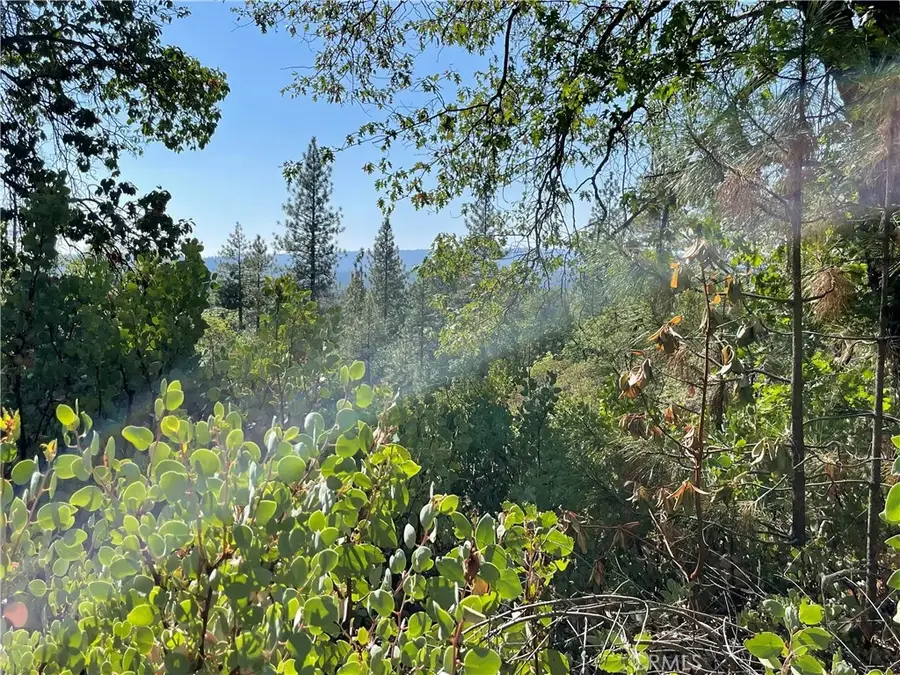 0 Forbestown, Challenge, CA 95925 - Image #2