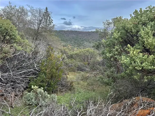 0 Top View, Oroville, CA 95966