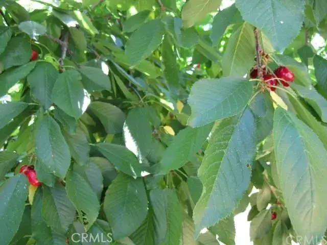 6636 Dolores, Paradise, CA 95969 - Image #1