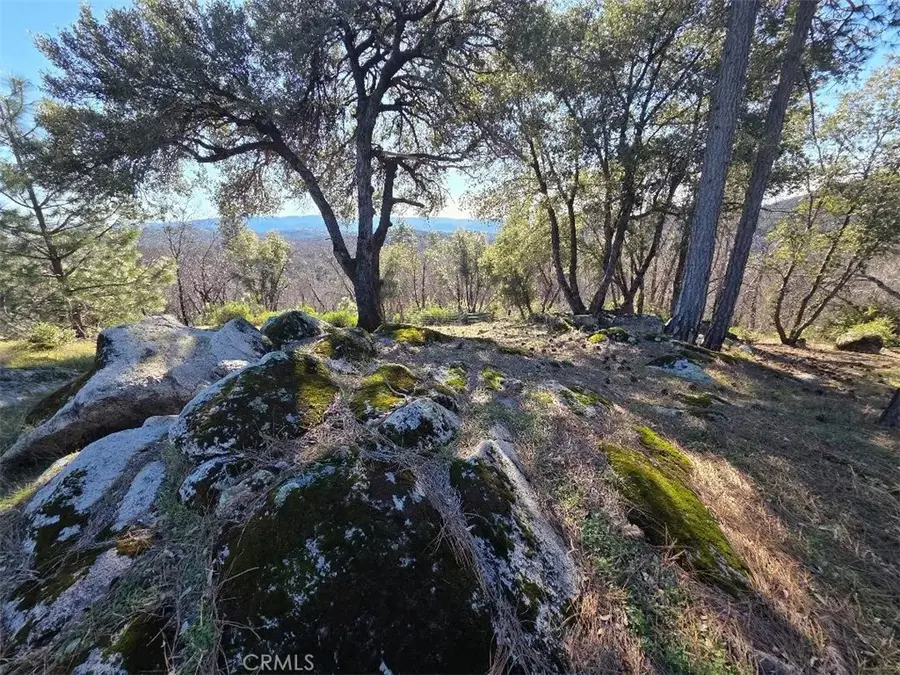 374 Jatko, Berry Creek, CA 95916 - Image #2