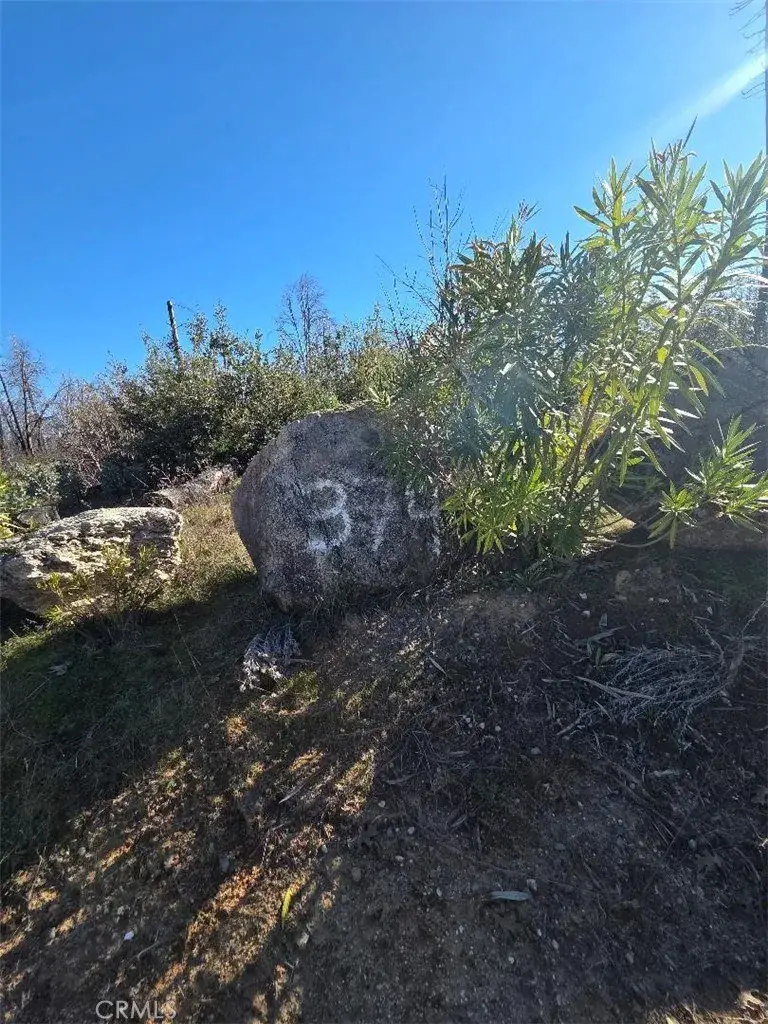 374 Jatko, Berry Creek, CA 95916 - Image #3