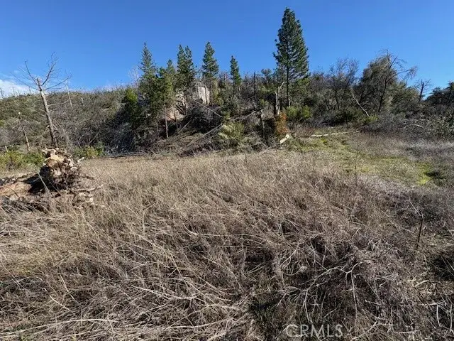 8870 Oro Quincy, Berry Creek, CA 95916 - Image #2