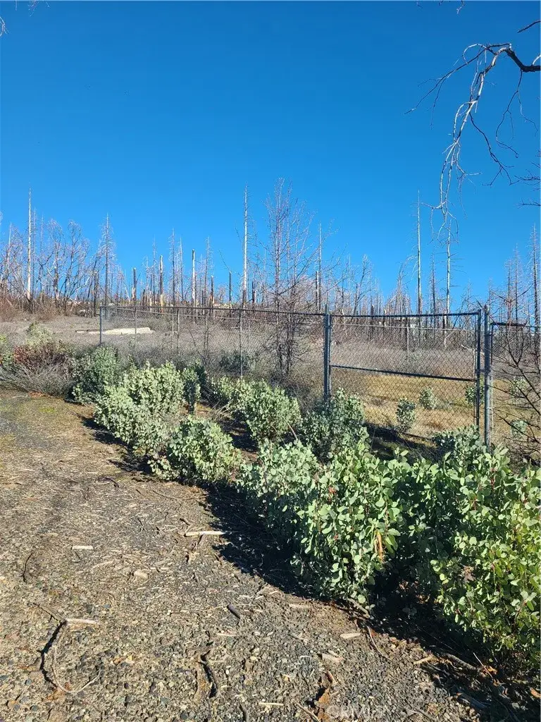 81 Green Cedar, Berry Creek, CA 95916 - #2