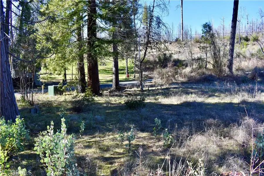 20 Meadow, Berry Creek, CA 95916 - #2