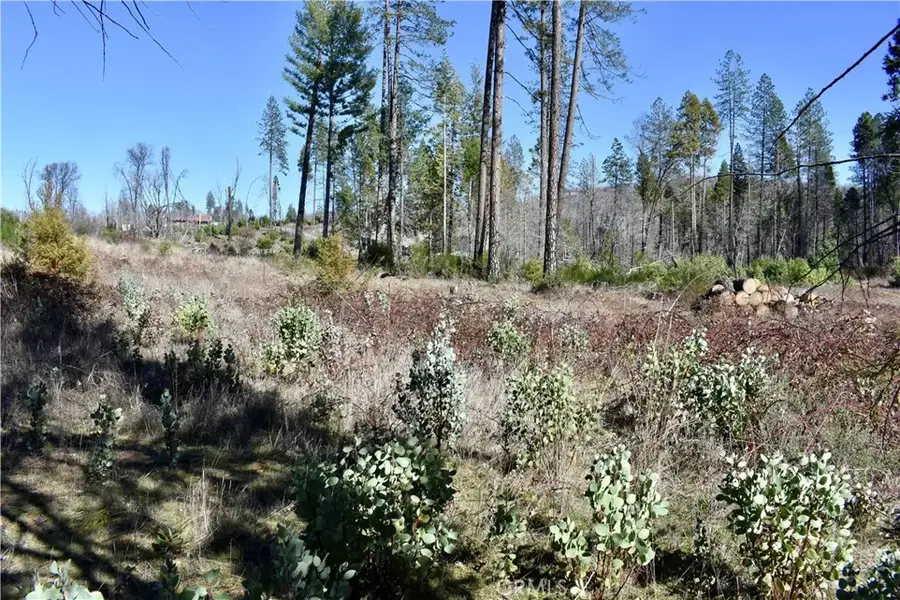 20 Meadow, Berry Creek, CA 95916 - #3