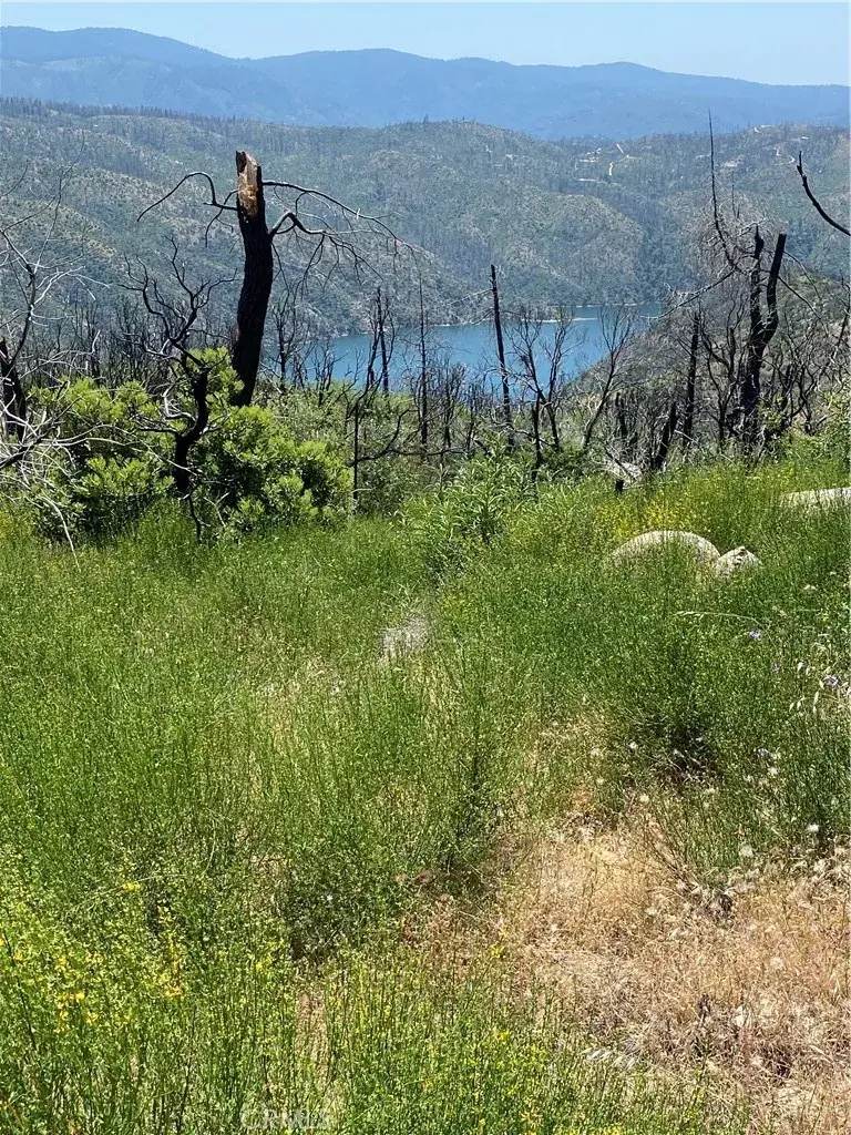 315 Harrison Springs, Berry Creek, CA 95916 - #2
