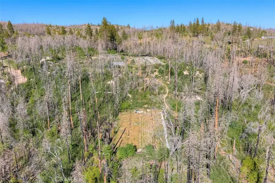 0 Four M, Berry Creek, CA 95916 - #2