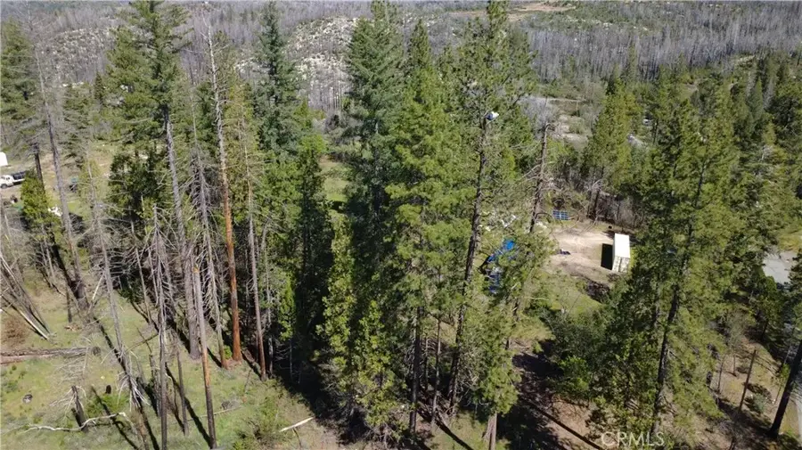 6 Sugar Pine, Berry Creek, CA 95916 - #3