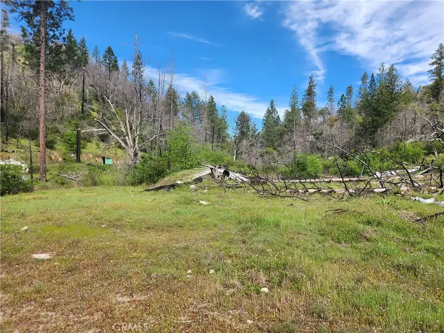 1977 Big Ridge, Berry Creek, CA 95916 - #2