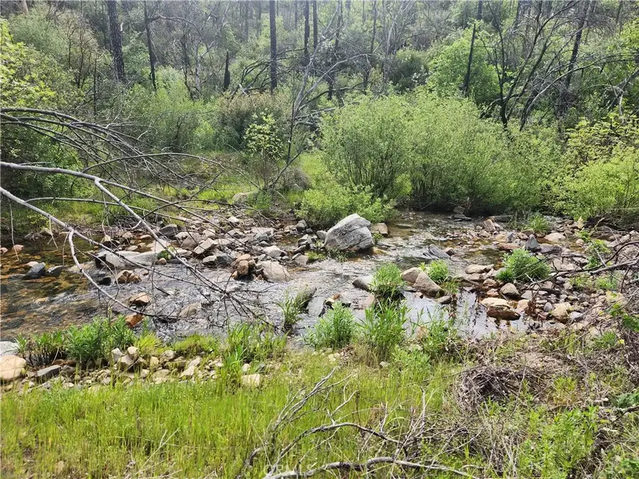 1977 Big Ridge, Berry Creek, CA 95916 - #3