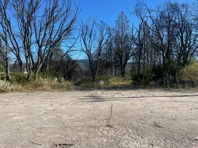 55 Cedar Tree, Oroville, CA 95966 - #3