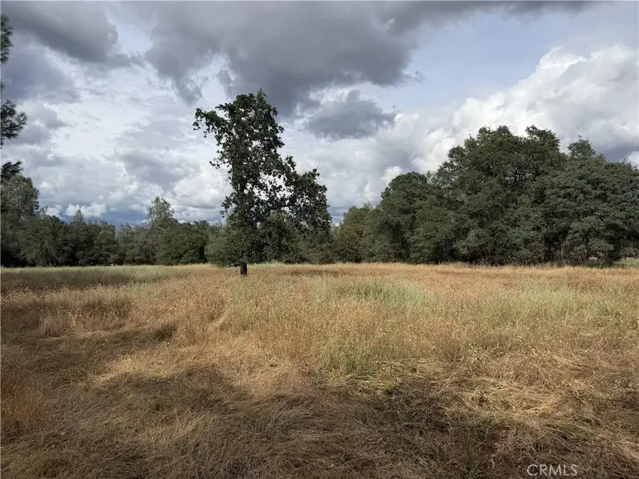 0 Ophir, Oroville, CA 95966 - #3