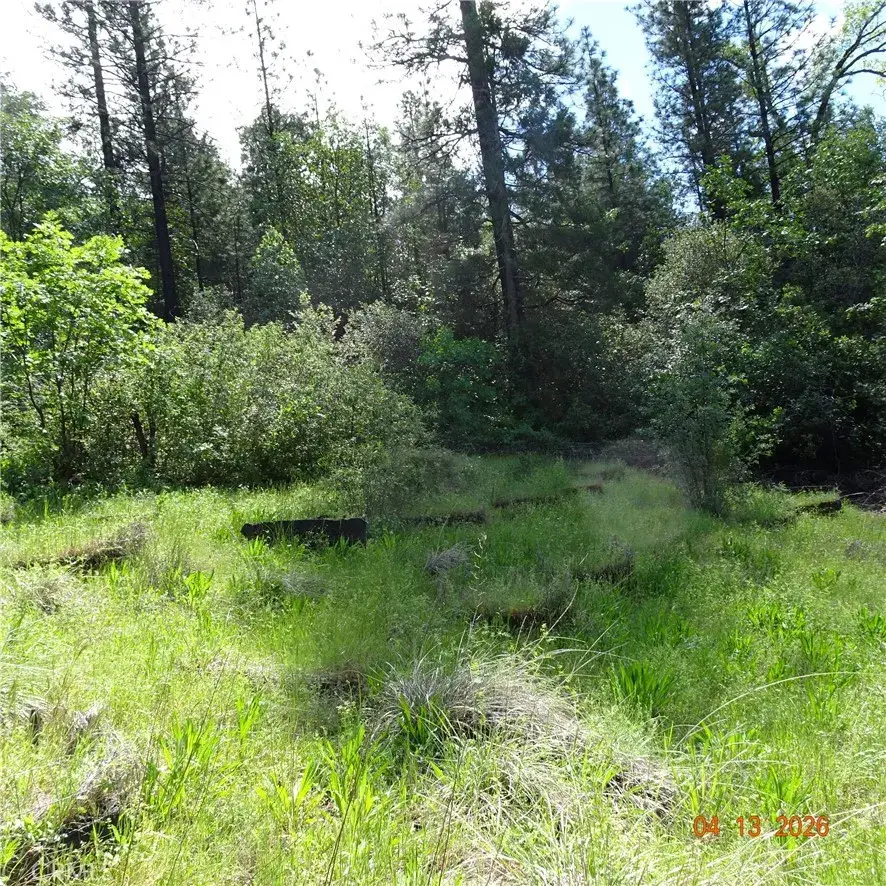 0 Powell Ridge, Oroville, CA 95966 - #3