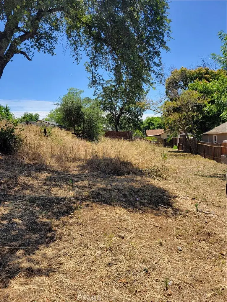 1835 Elgin, Oroville, CA 95966 - #2
