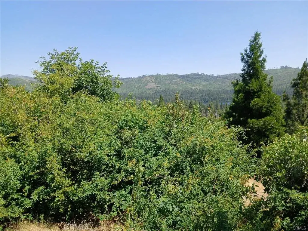 0 Astoria, Concow, CA 95965 - #1