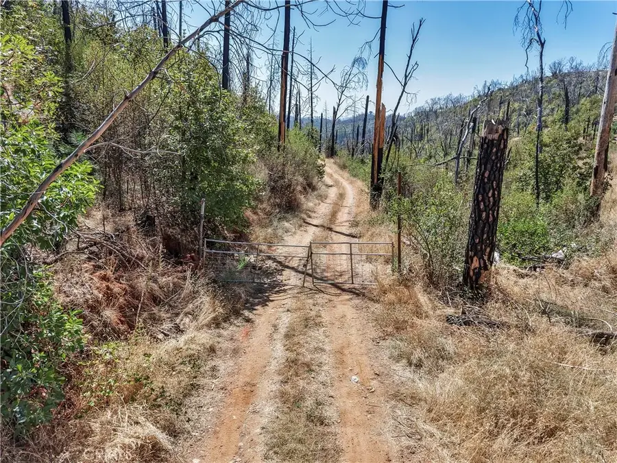 101 Handkirk, Berry Creek, CA 95916 - #3