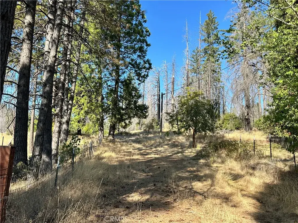 70 Graystone Lane, Berry Creek, CA 95916 - #1