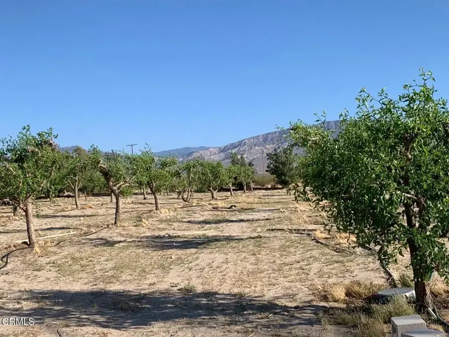 10424 Santa Fe Fire Road, Lucerne Valley, CA 92356 - Image #2