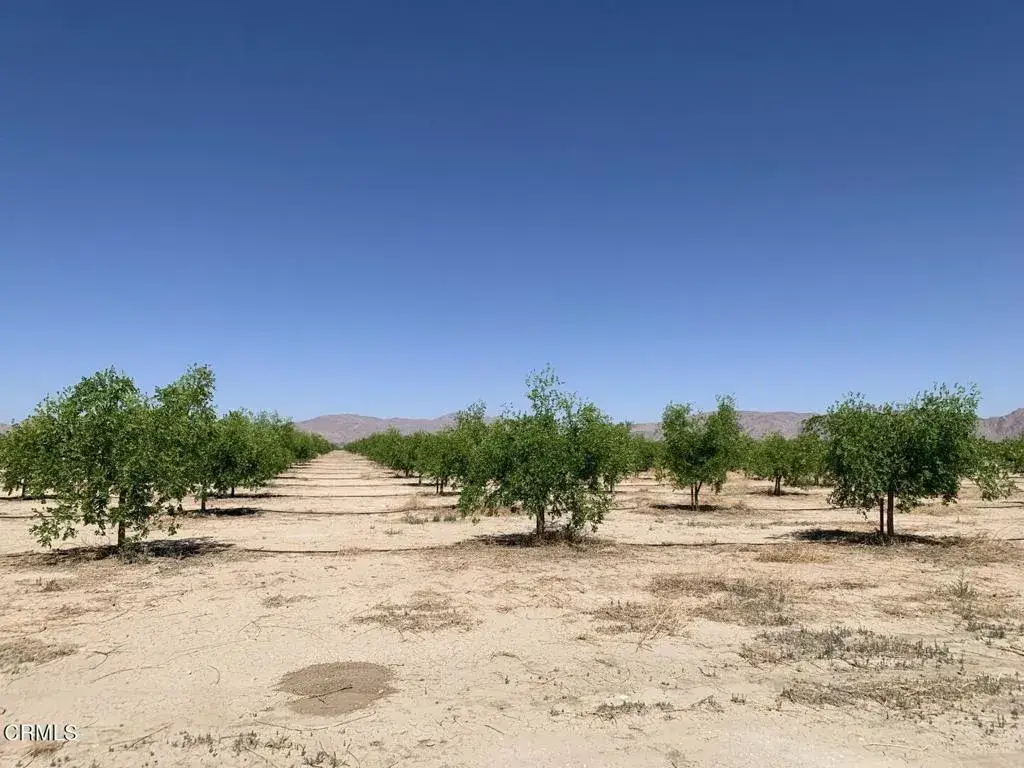 12500 Locust, Lucerne Valley, CA 92356 - #1