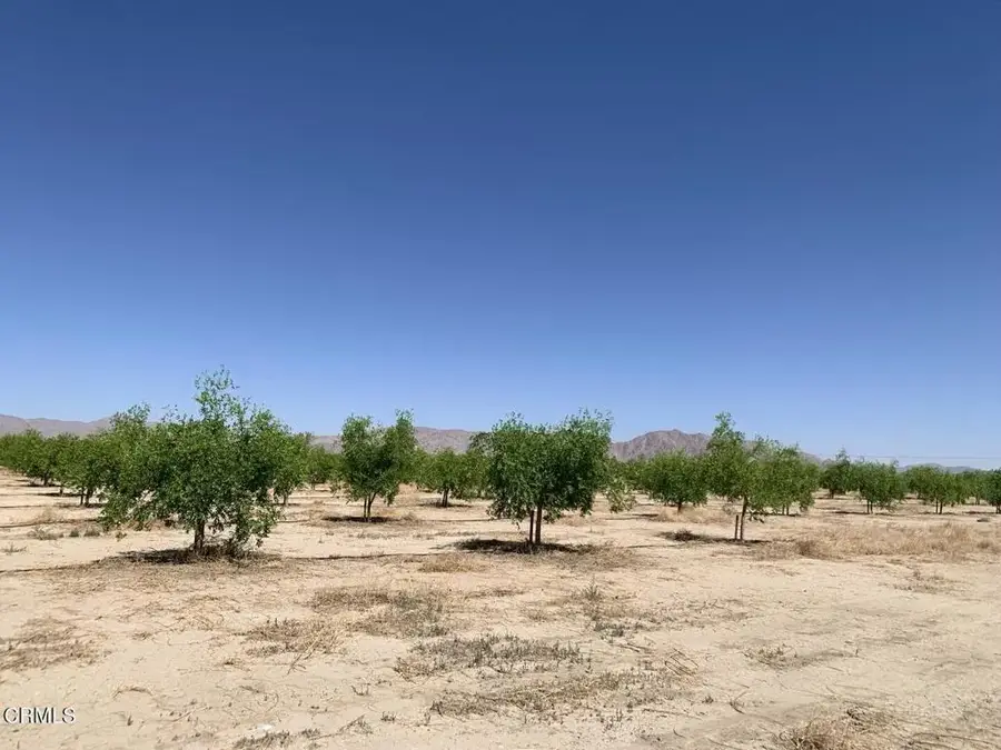 12500 Locust, Lucerne Valley, CA 92356 - #2