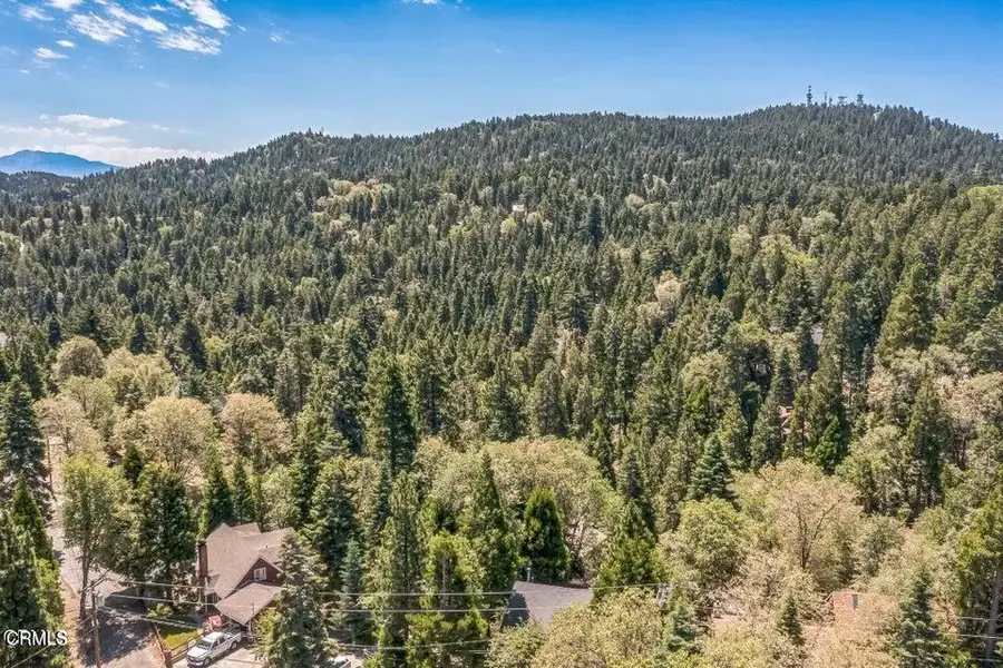 352 Cedarbrook Drive, Twin Peaks, CA 92391 - Image #3