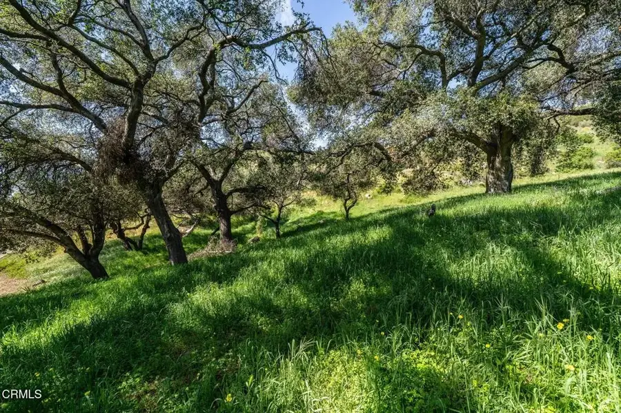 4700 Rising Hill, Altadena, CA 91001 - #3