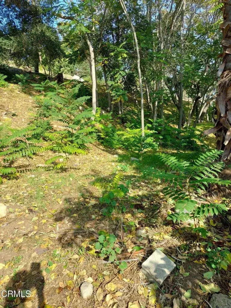 200 S Avenue 63, Los Angeles, CA 90042 - #3