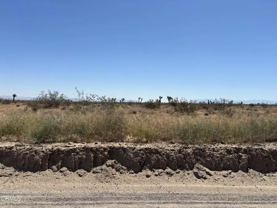 0 Caughlin, Phelan, CA 92371 - #2