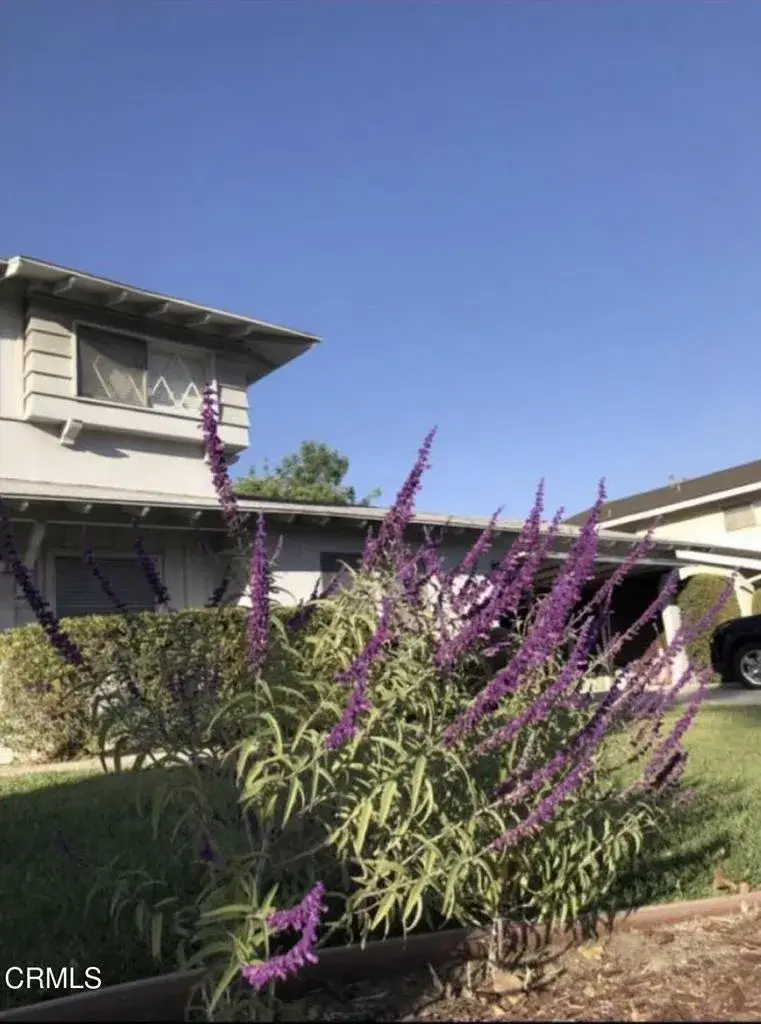 207 Genoa Street, Arcadia, CA 91006 - #2