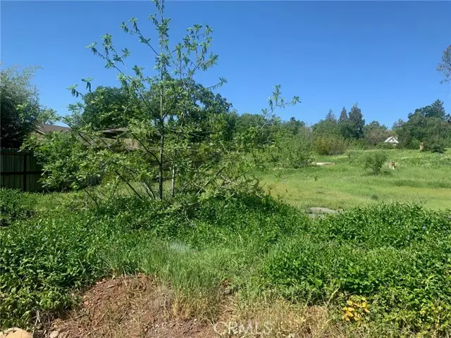 #3