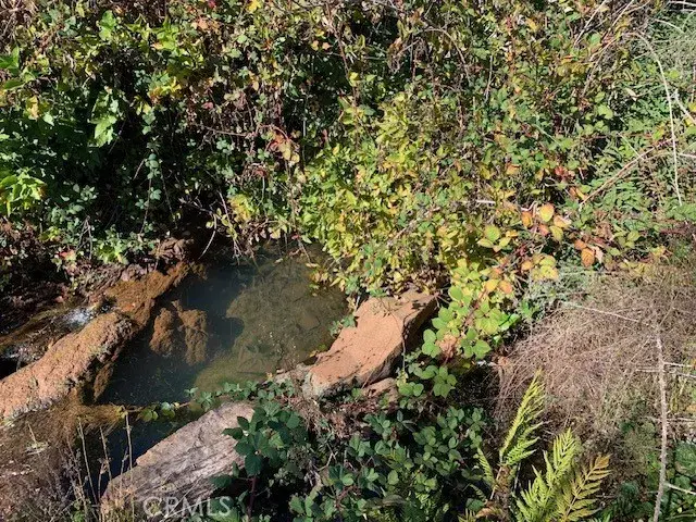 6665 Fuhrmann, Paradise, CA 95969 - Image #2