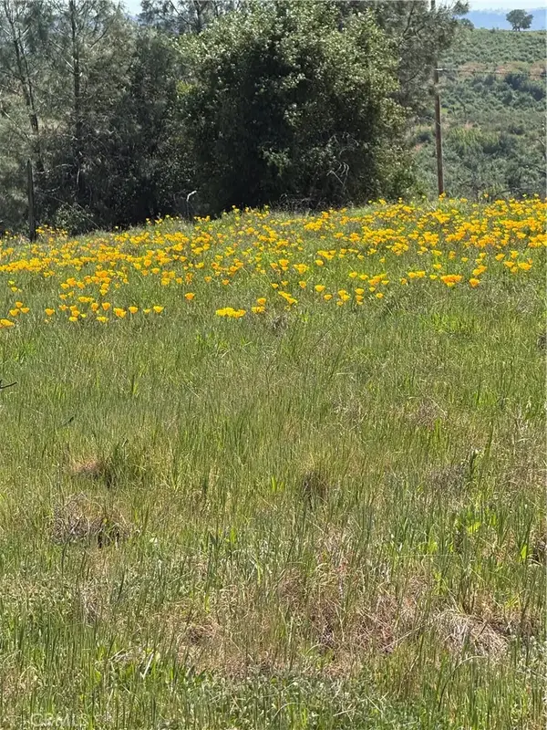 0 Round Valley Ranch, Paradise, CA 95969