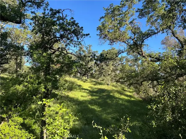 0 Rolling Oaks, Bangor, CA 95901