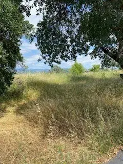 239 Eagle Nest, Chico, CA 95928 - #2