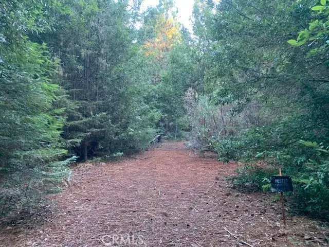 0 Off Skyway, Magalia, CA 95954 - #1