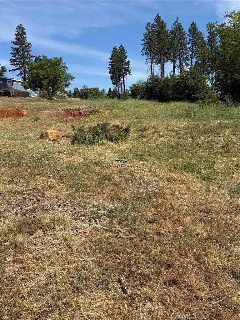 1573 Nunneley, Paradise, CA 95969 - #2