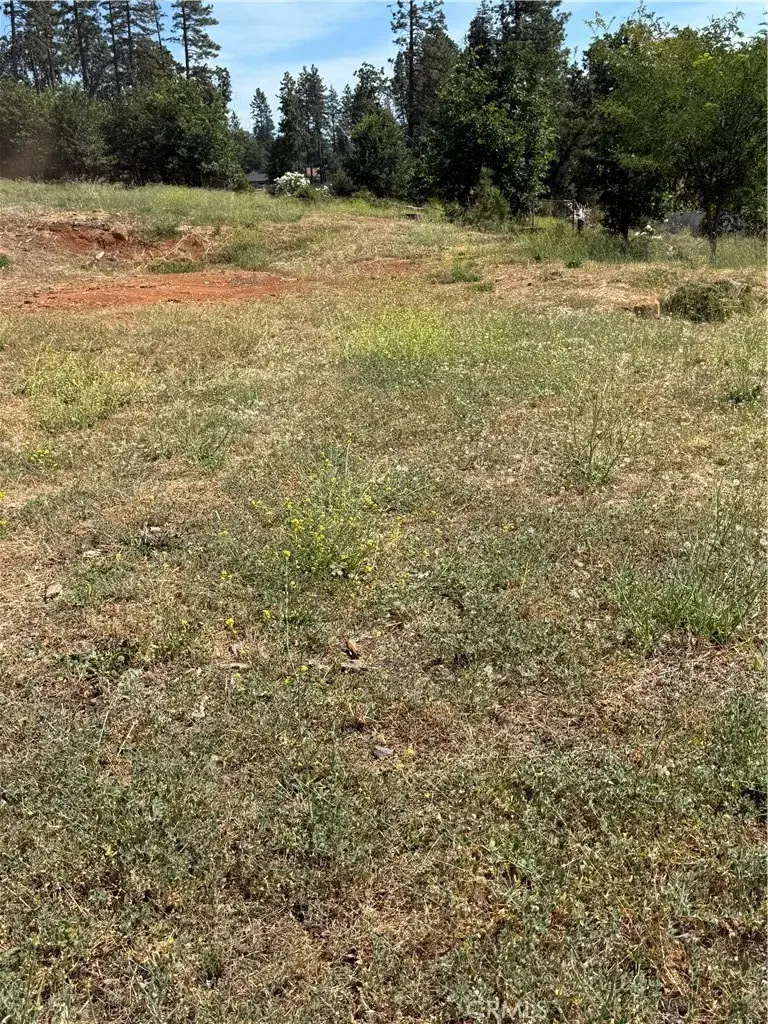 1573 Nunneley, Paradise, CA 95969 - #3