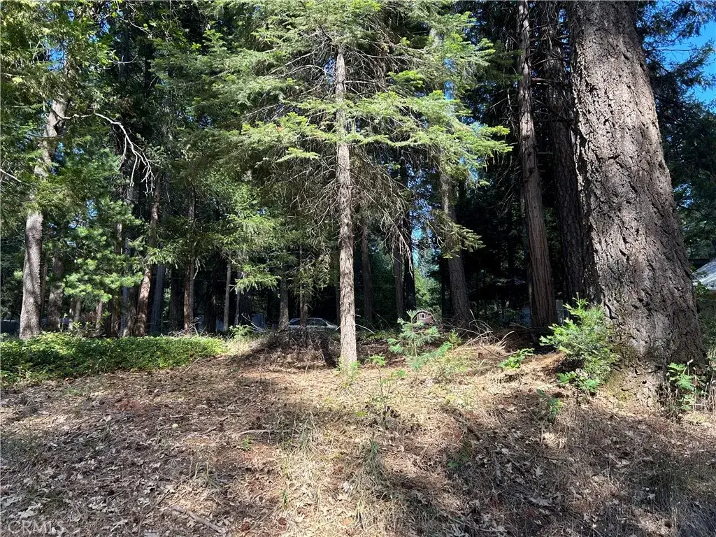 0 Bridgeport, Magalia, CA 95954 - #1