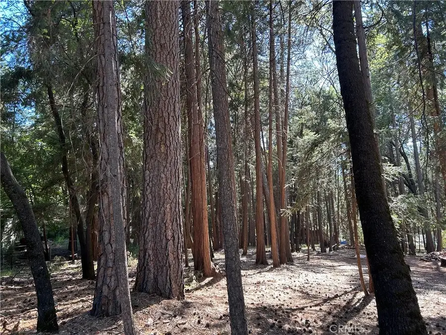0 Bridgeport, Magalia, CA 95954 - #2