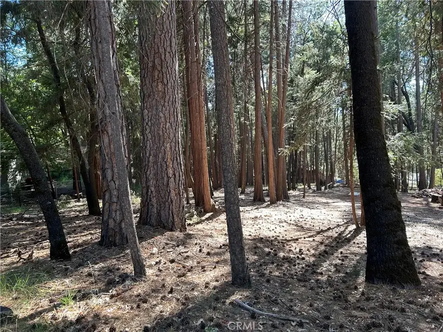 0 Bridgeport, Magalia, CA 95954 - #3