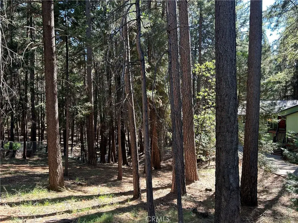 0 Magalia, Magalia, CA 95954 - #1