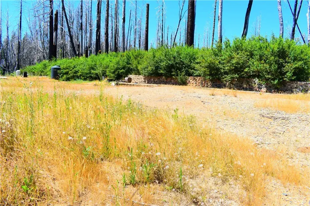 461 Milsap Bar, Berry Creek, CA 95916 - #1
